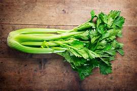 Celery Splash - Conventional