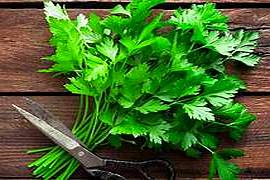 Parsley - Flavor Bomb
